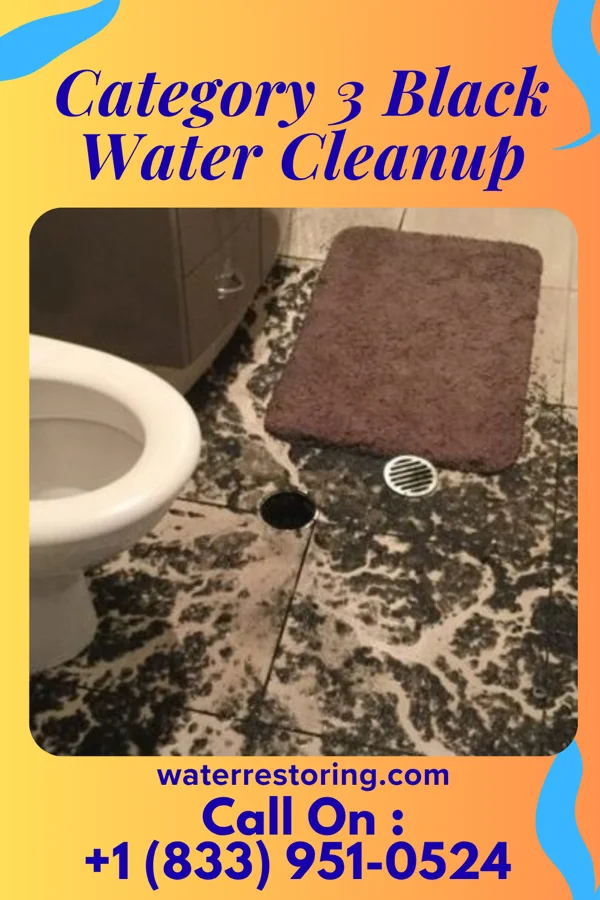 Category 3 Black Water Cleanup in Fall Creek, IL