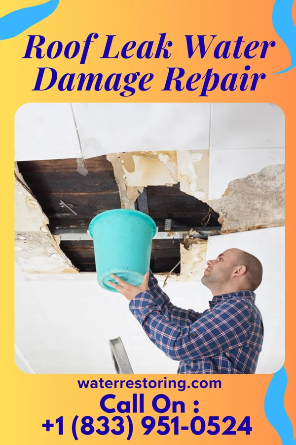 Roof Leak Water Damage Repair in Fall Creek, IL